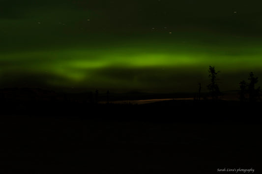 Northern Lights dancing in the sky as we are driving into a New Year - Happy 2017