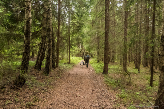 A few hiking steps in Norwegian history.