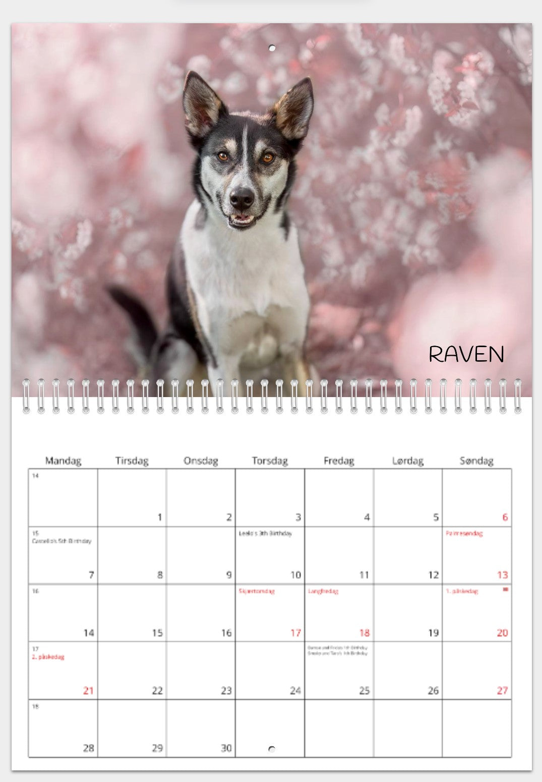CALENDAR FROM THE DOGS