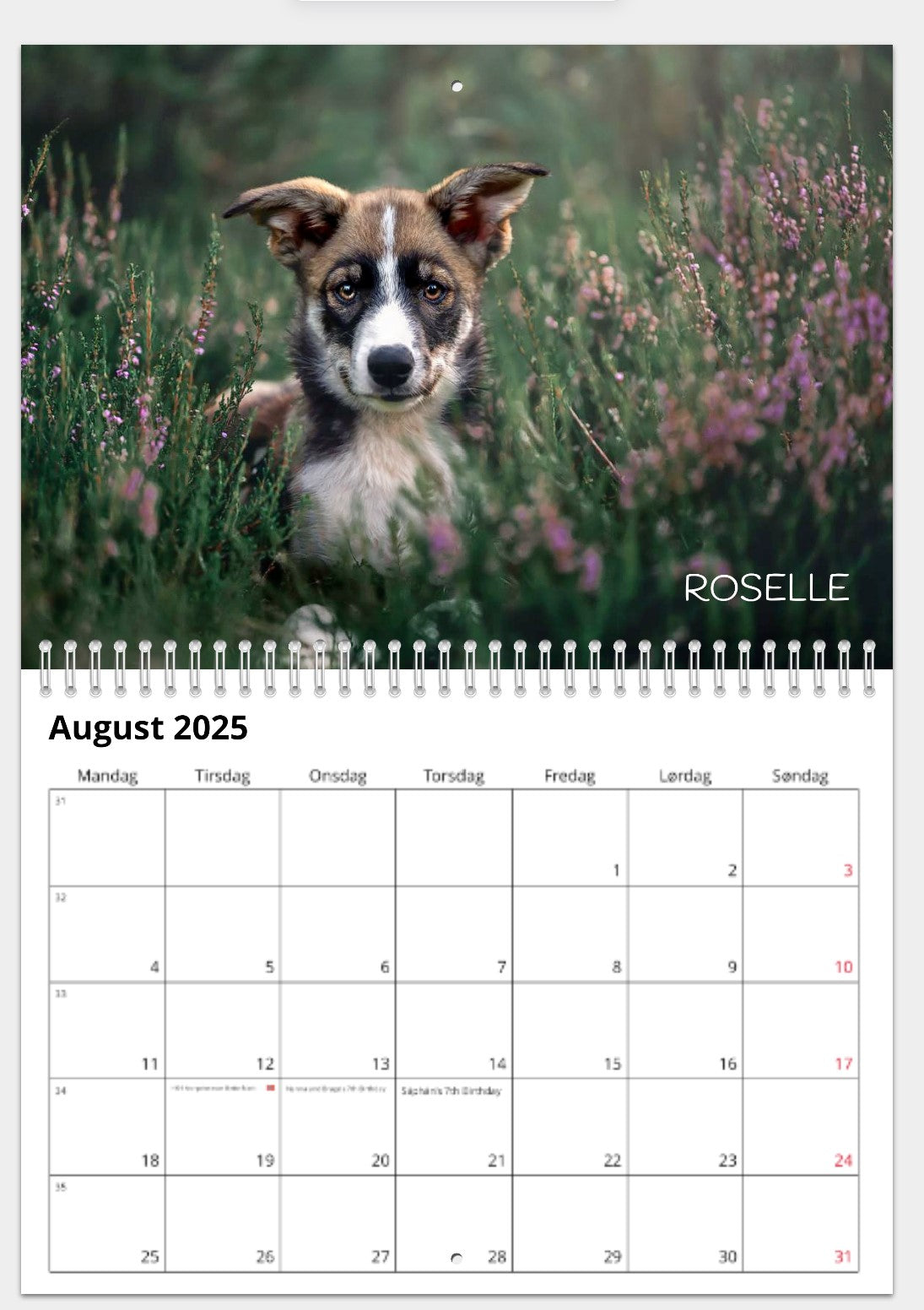 CALENDAR FROM THE DOGS