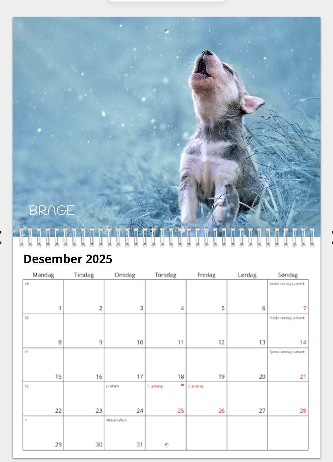 CALENDAR FROM THE DOGS