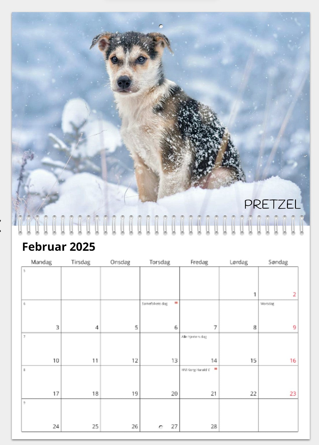 CALENDAR FROM THE DOGS