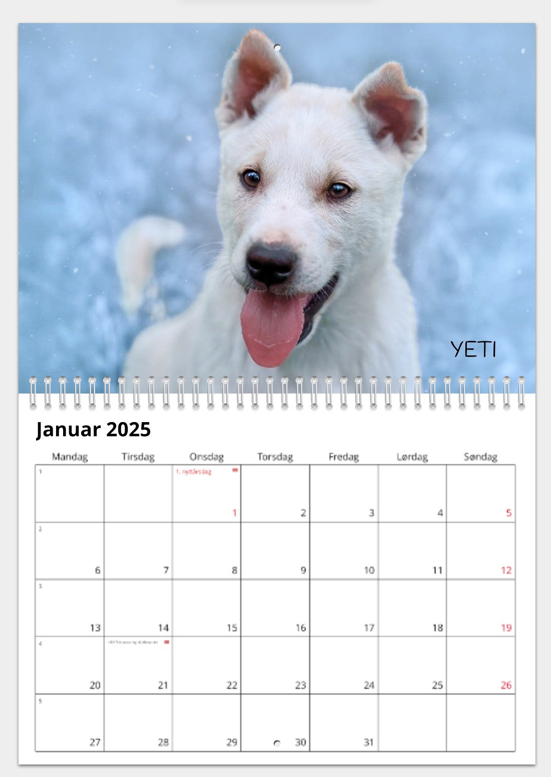 CALENDAR FROM THE DOGS