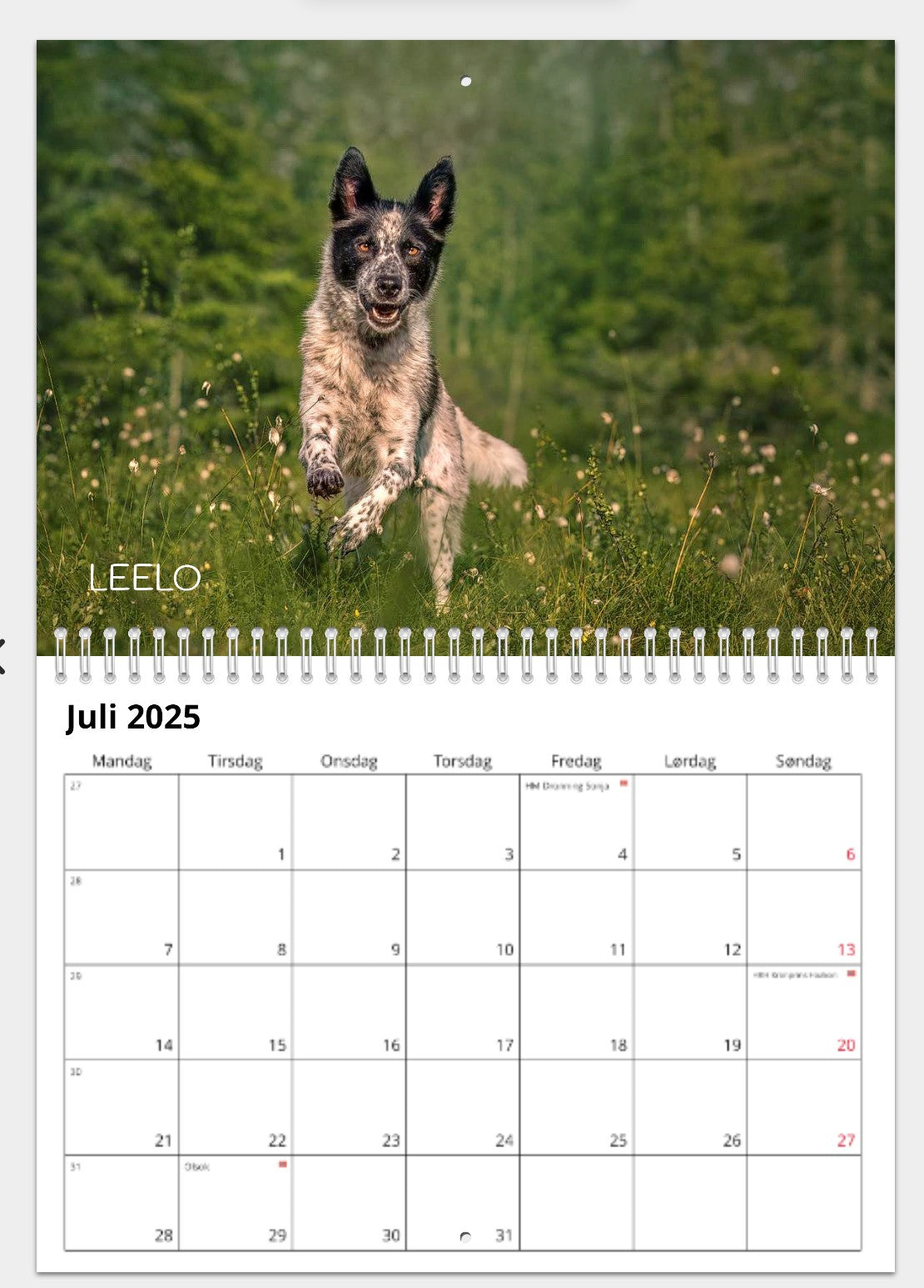 CALENDAR FROM THE DOGS