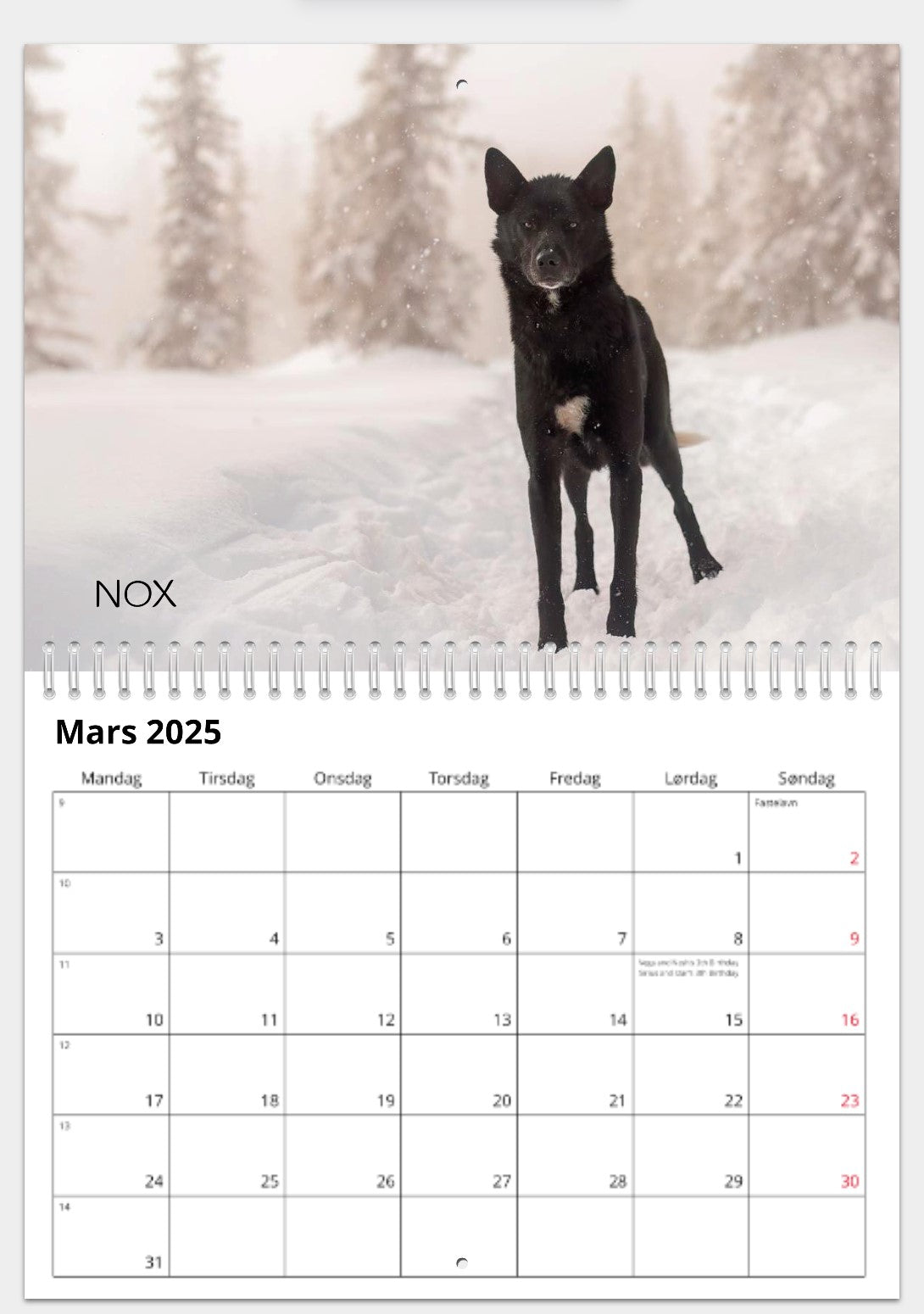 CALENDAR FROM THE DOGS