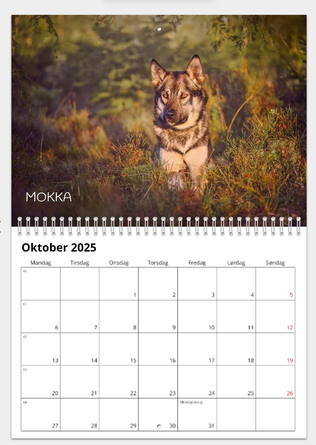 CALENDAR FROM THE DOGS