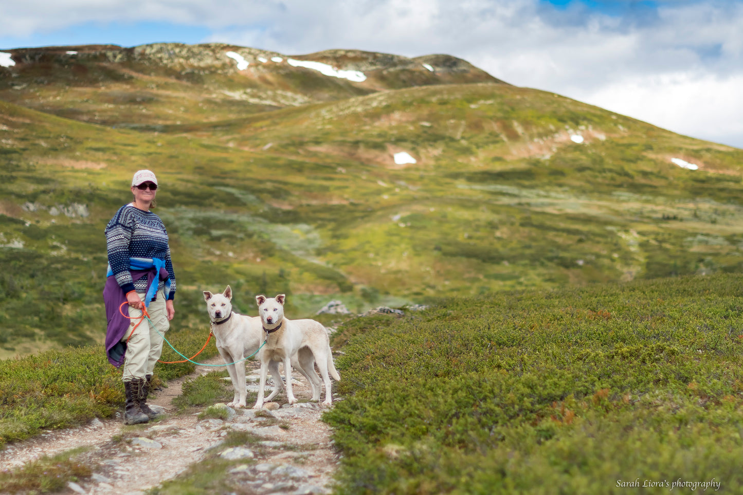 På tur med huskier til høgkampen. Fjelltur