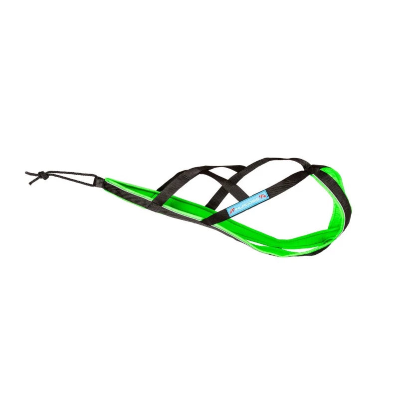 Polar Quest harness