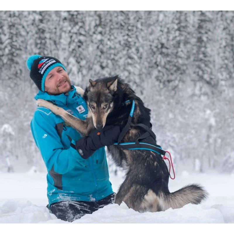 Polar Quest harness
