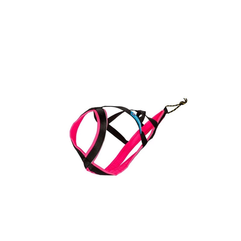Polar Quest harness