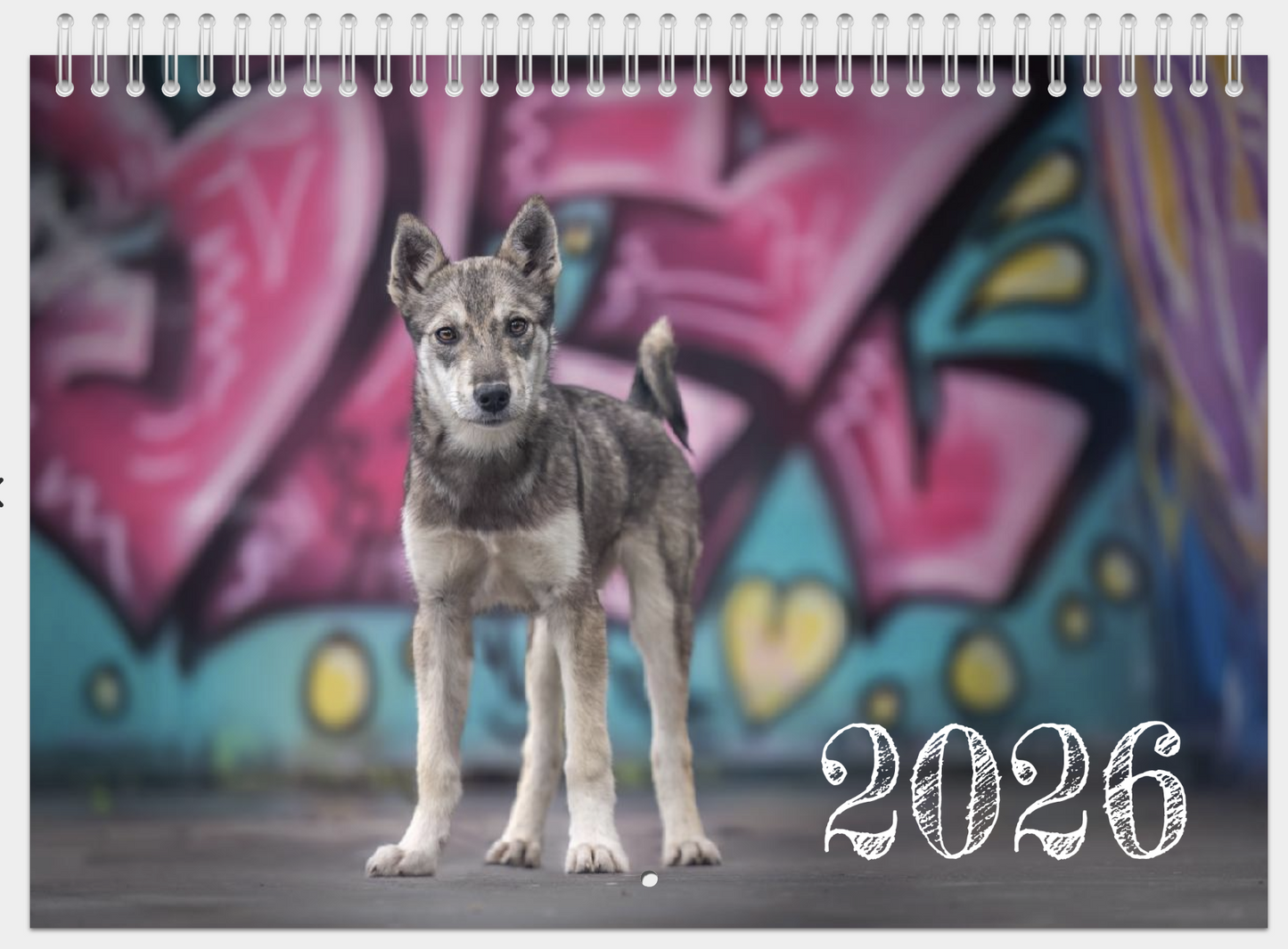 KALENDER FRA HUNDENE