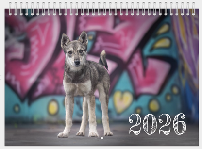 KALENDER FRA HUNDENE