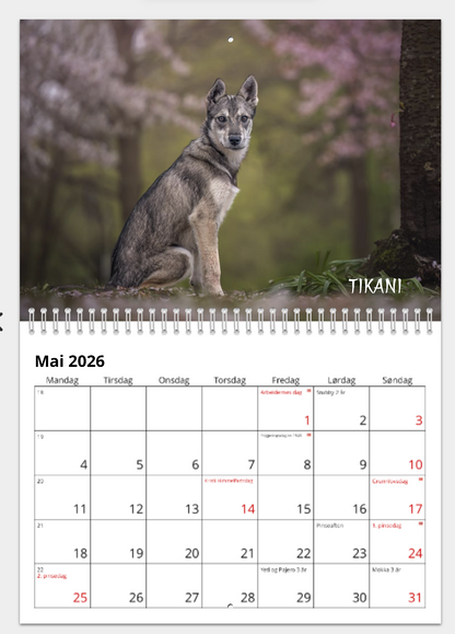 KALENDER FRA HUNDENE
