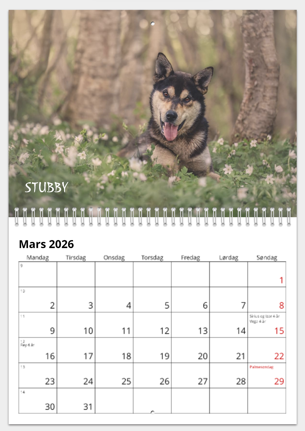 KALENDER FRA HUNDENE