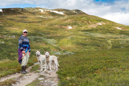SELJE'S KART OG KOMPASS - ØYTJERN RUNDT