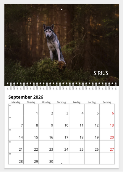 KALENDER FRA HUNDENE