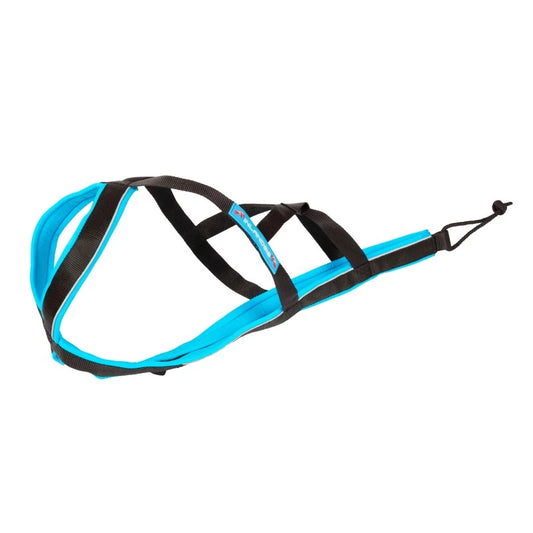 Polar Quest harness